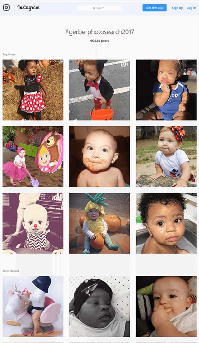 #gerberphotosearch2017