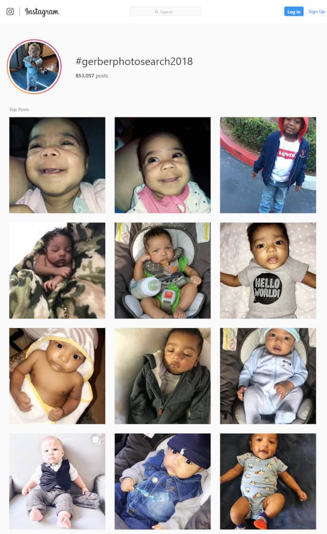 #gerberphotosearch2018