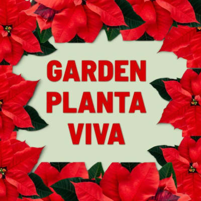 Garden Planta Viva