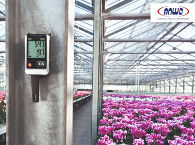 Humedad Y Punto De Rocio