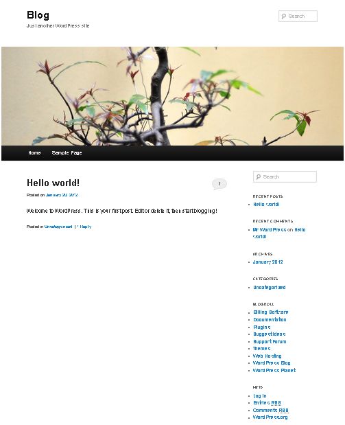 Initial-screen-after-the-wp-install