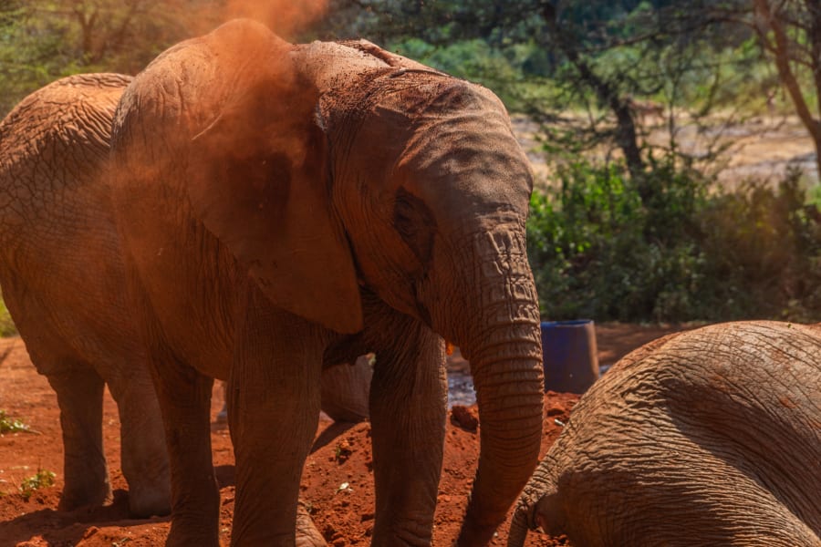 Kenya & Tanzania — photo 5