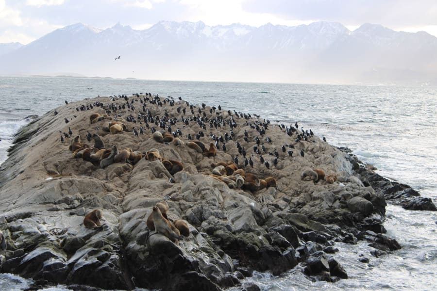 Patagonia — foto 6