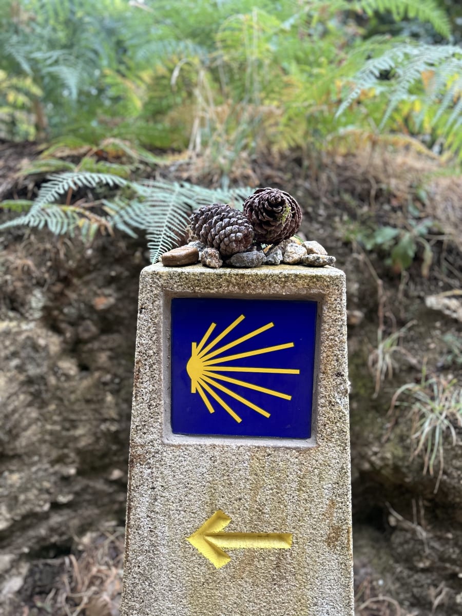Camino de Santiago — photo 3