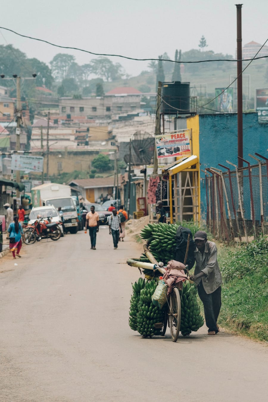 Uganda Gorillas — photo 1