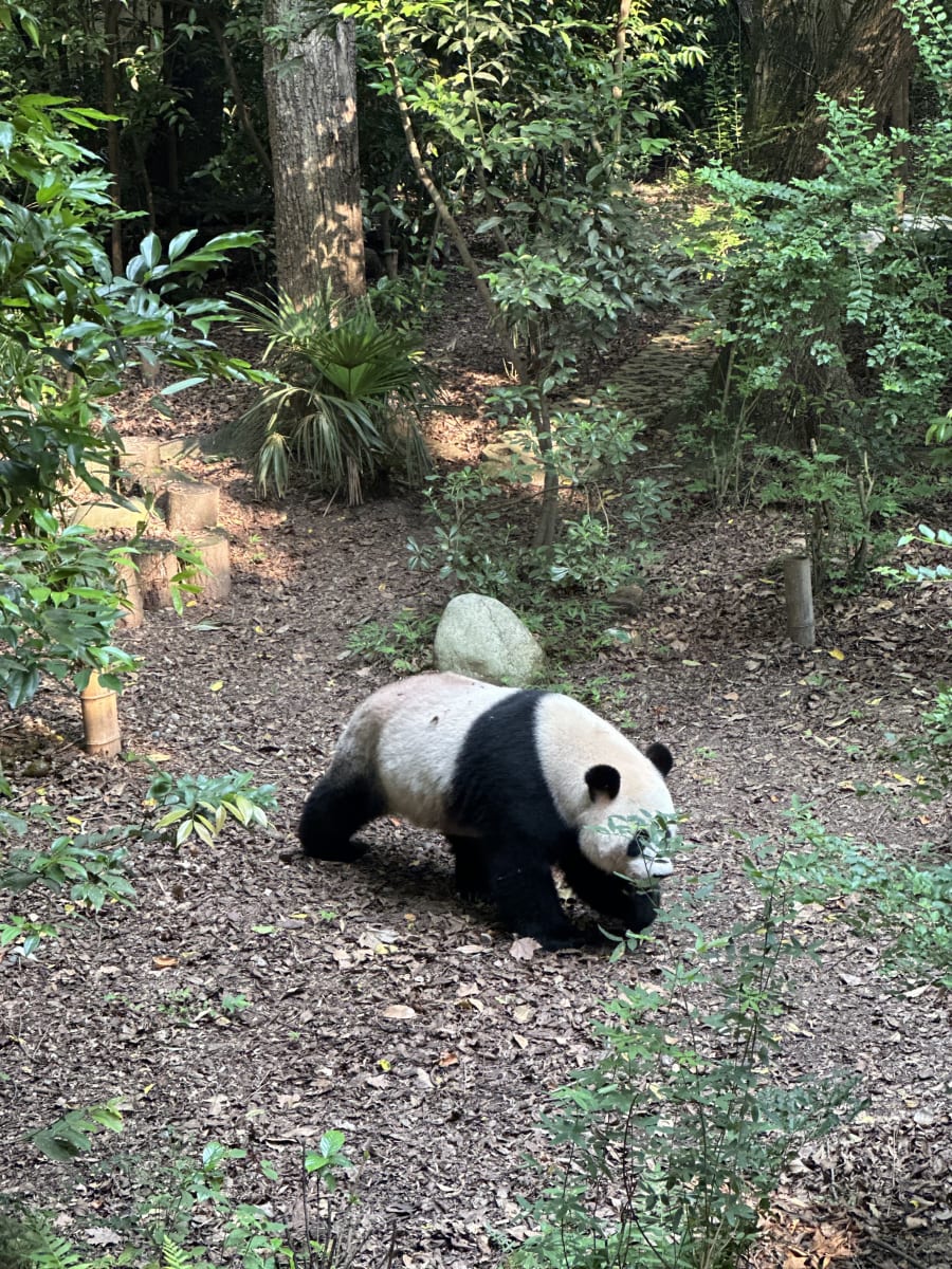 China — photo 7