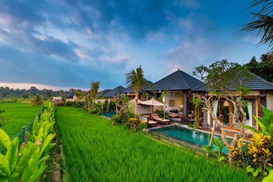 Bali Retreat — lodging photo 2
