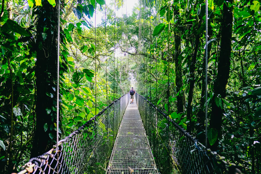 Costa Rica, Surf & Soul — foto 9