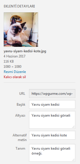 WordPress resim eklenti ayarları