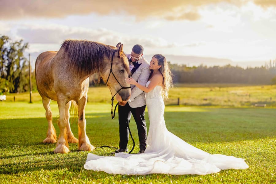 Wedding photograph 4 by Carson James Photography
