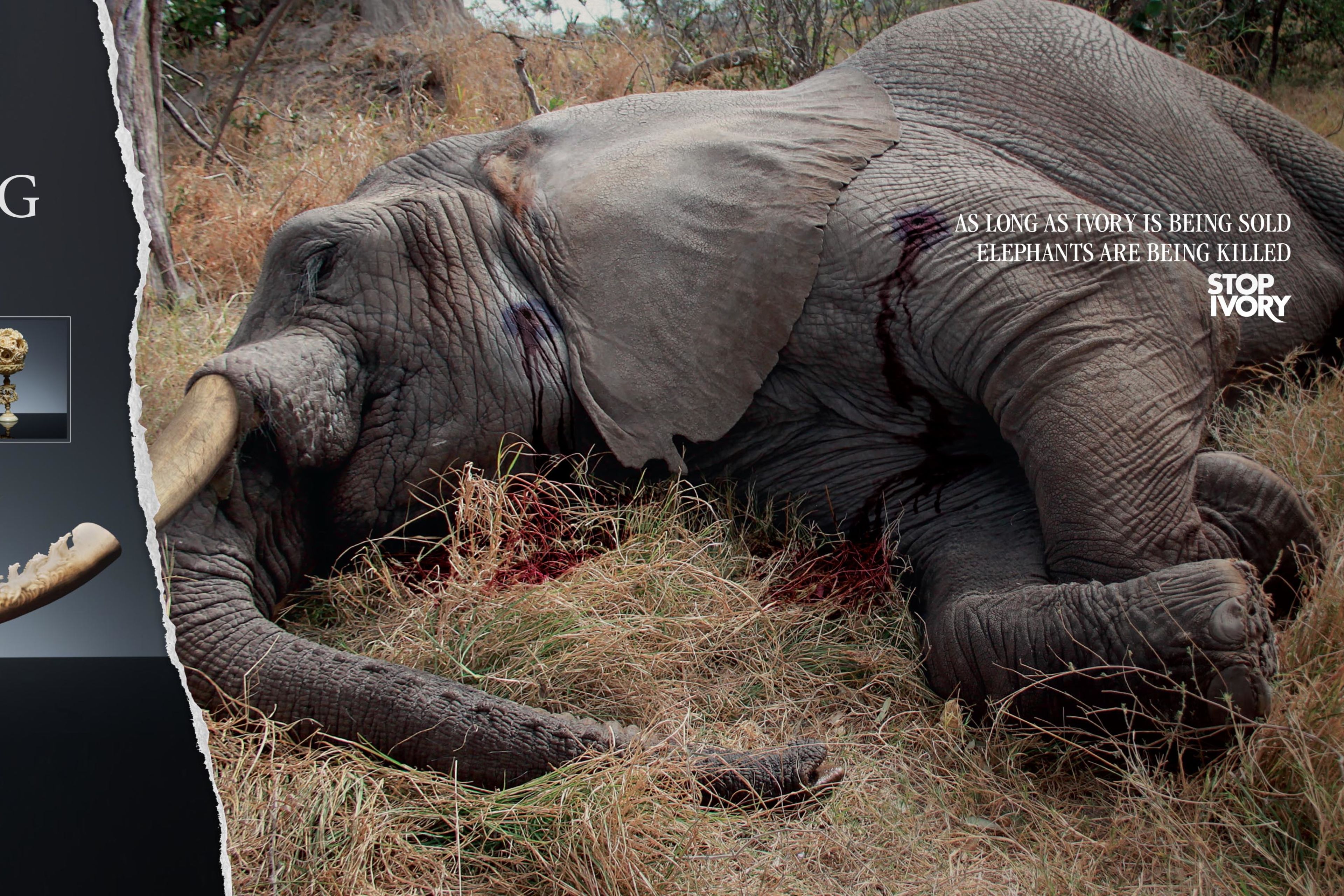 WPP-Work-Stop-Ivory-