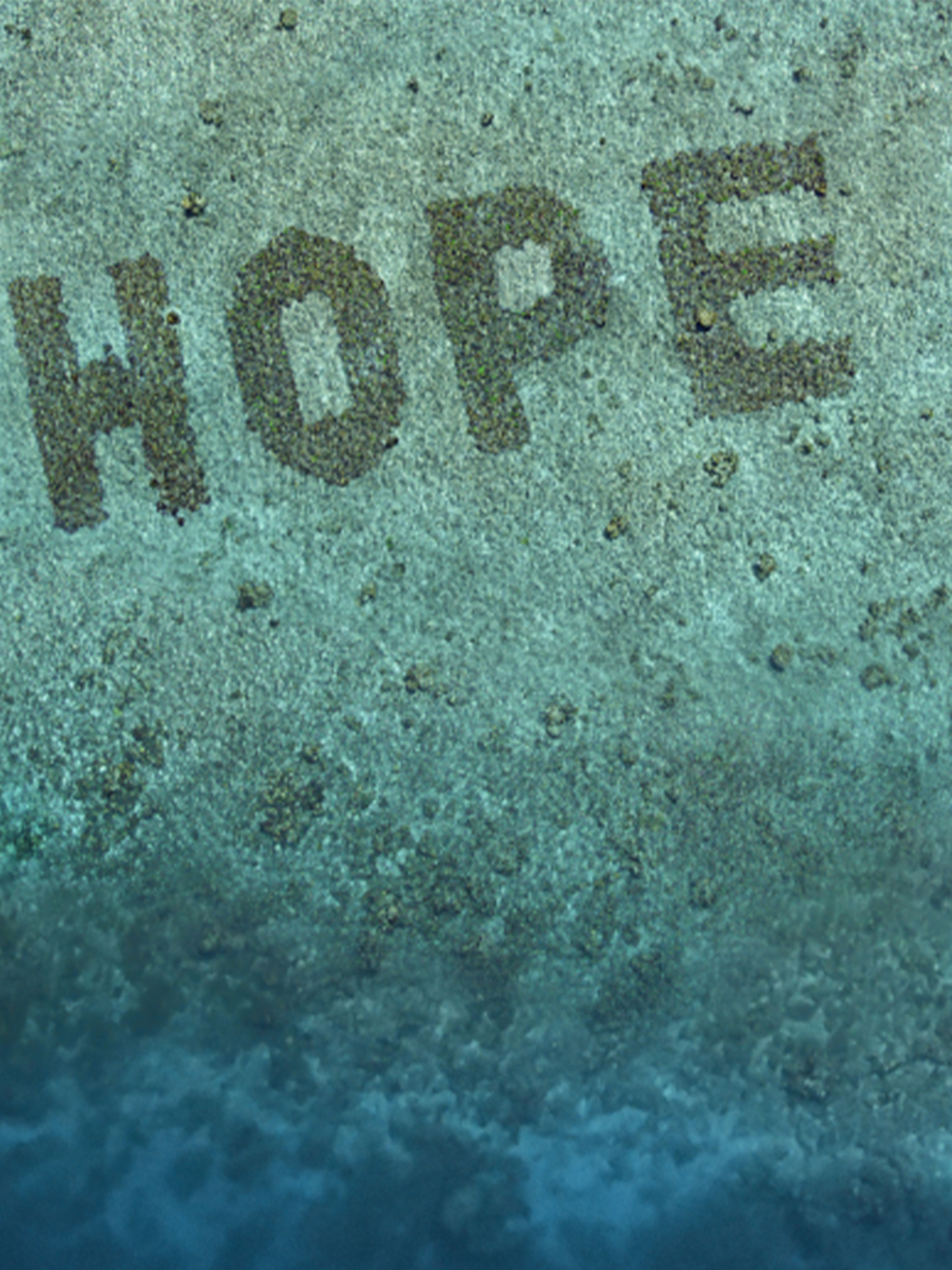 Image from above of the reef that spells out Hope