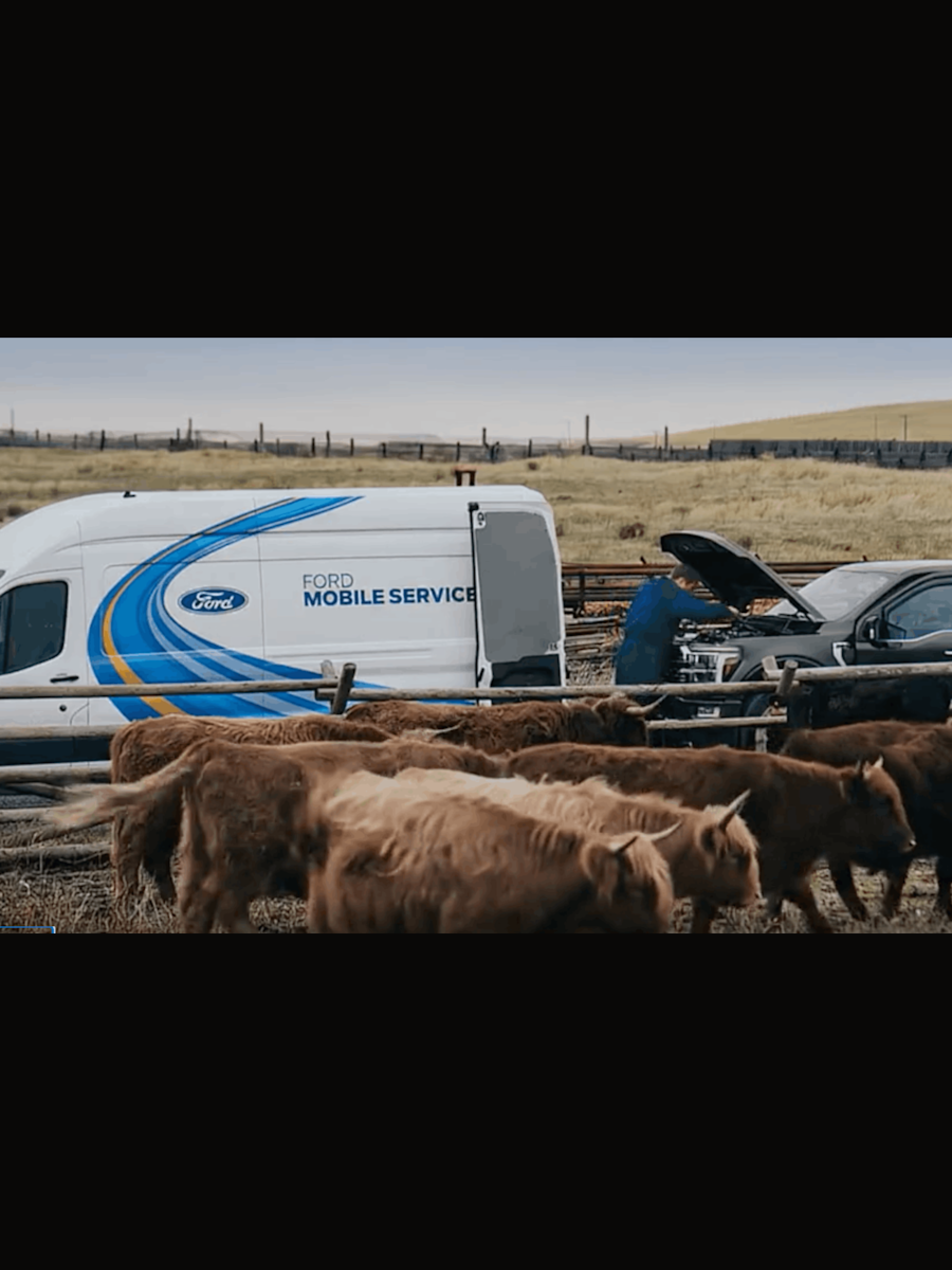 A Ford Mobile Service van parked in a rural field next to a dark grey pickup truck with its hood open, where a technician is performing service behind a herd of highland cattle.