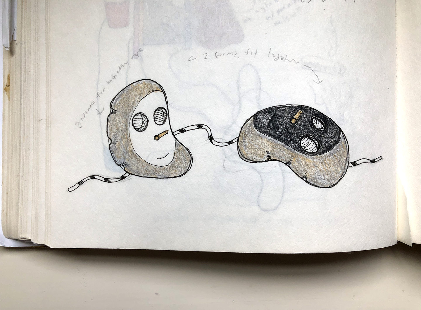 IMG_0445.png