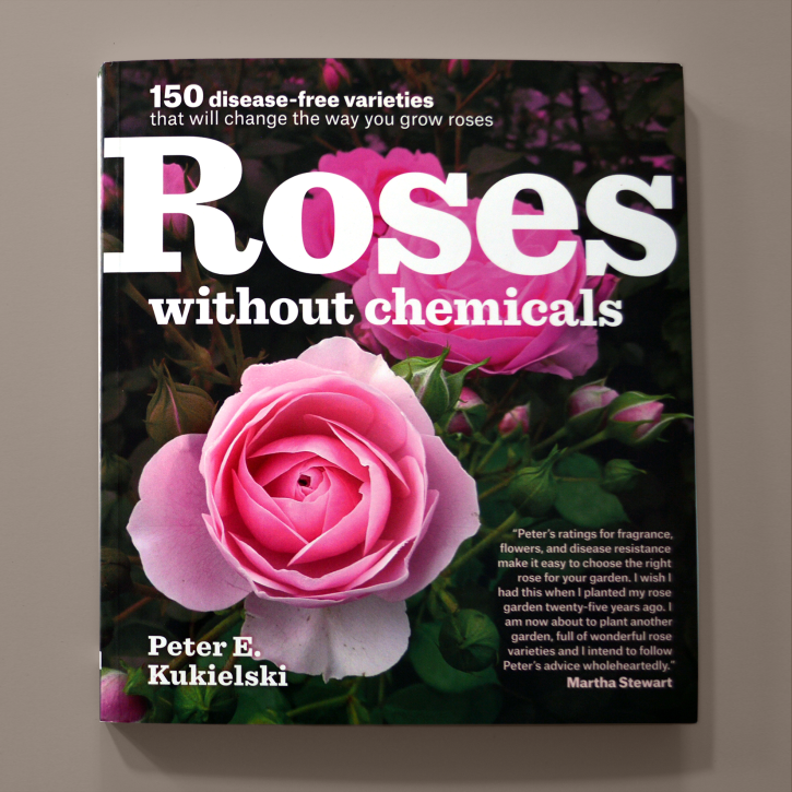 roses 01