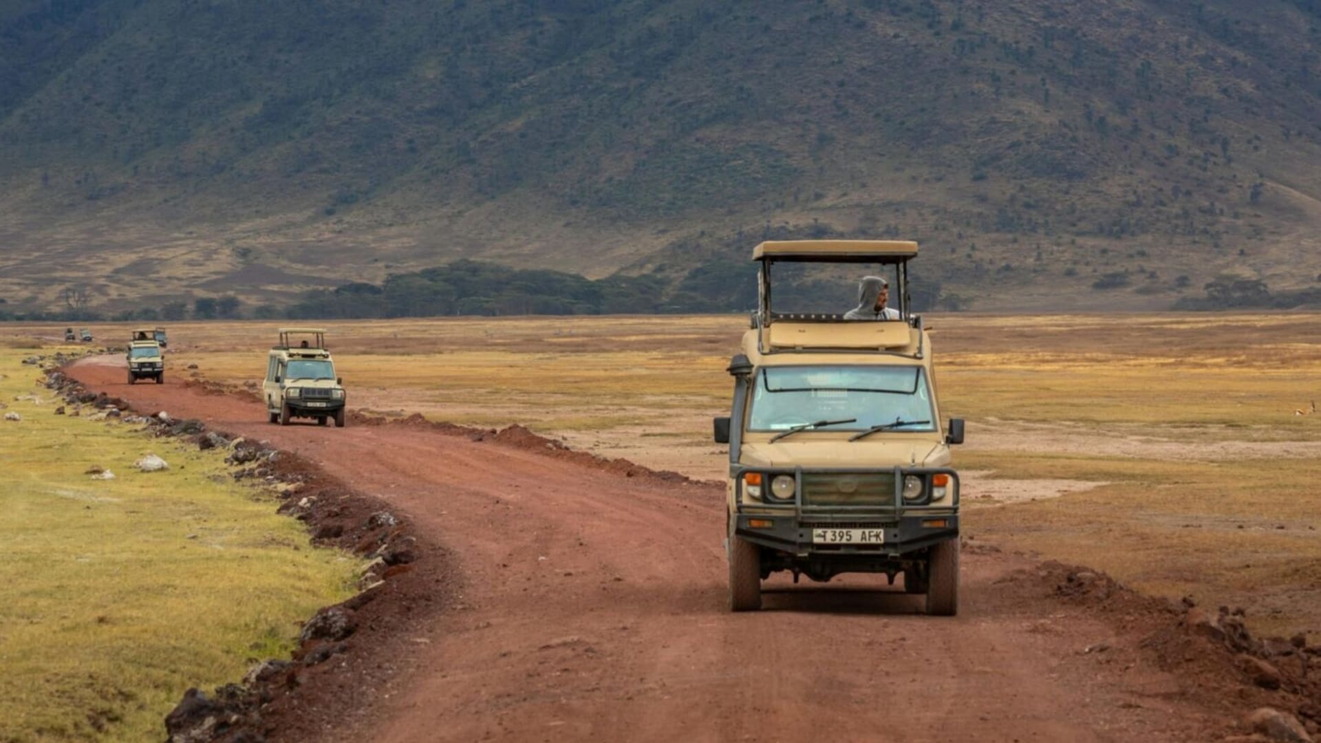 Springbok Expeditions safari group on game drive