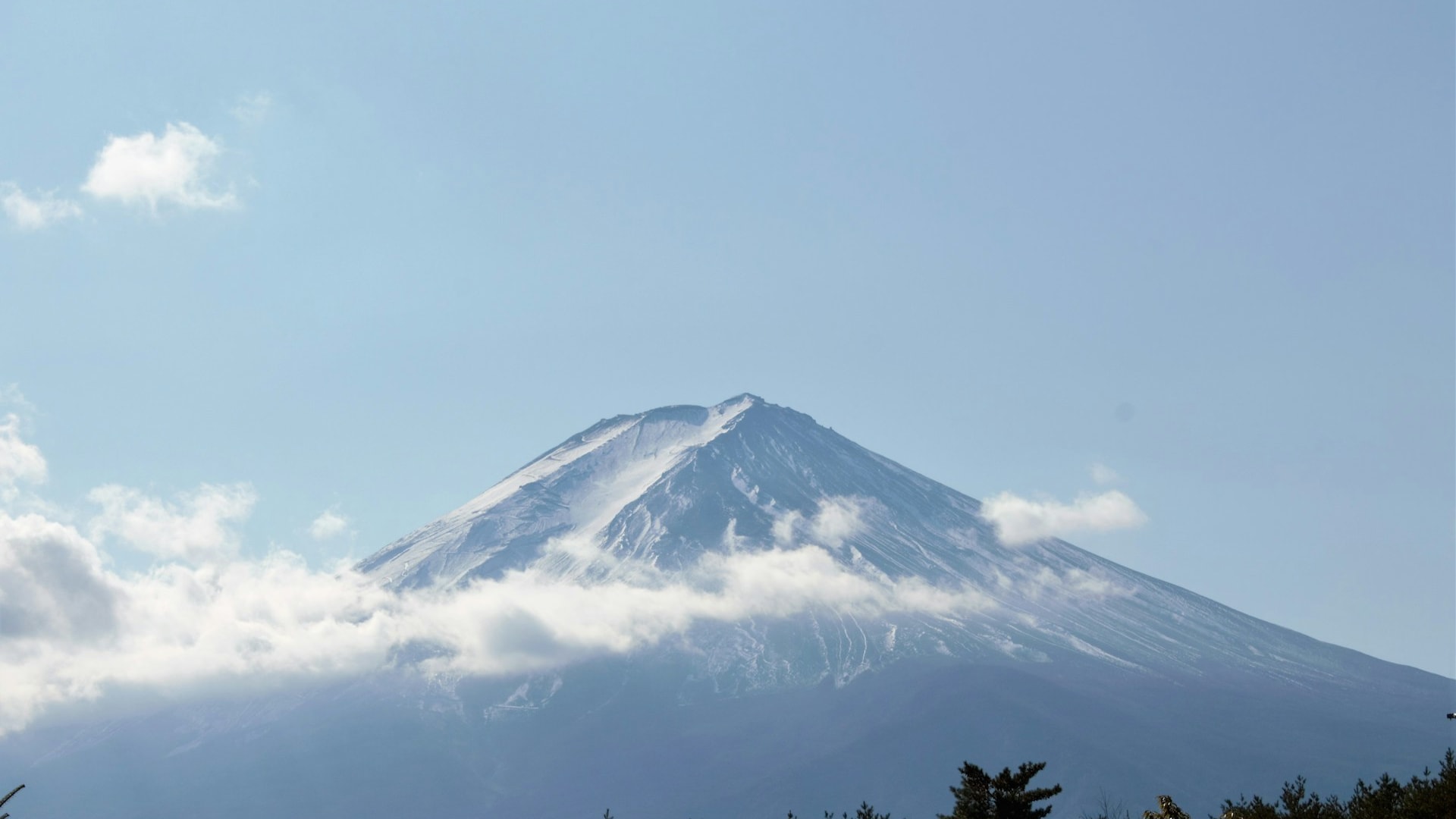 Kilimanjaro or Wildlife Safari: How to Choose