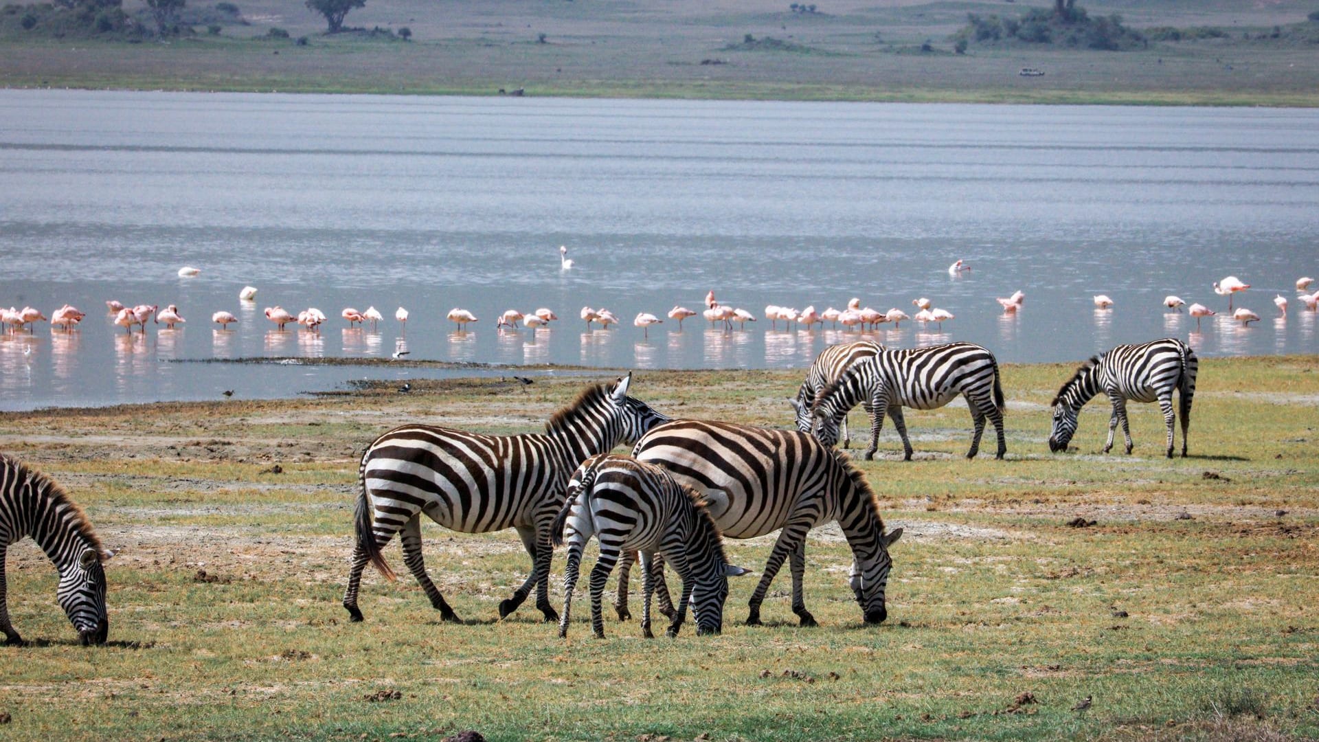 Lake Manyara National Park