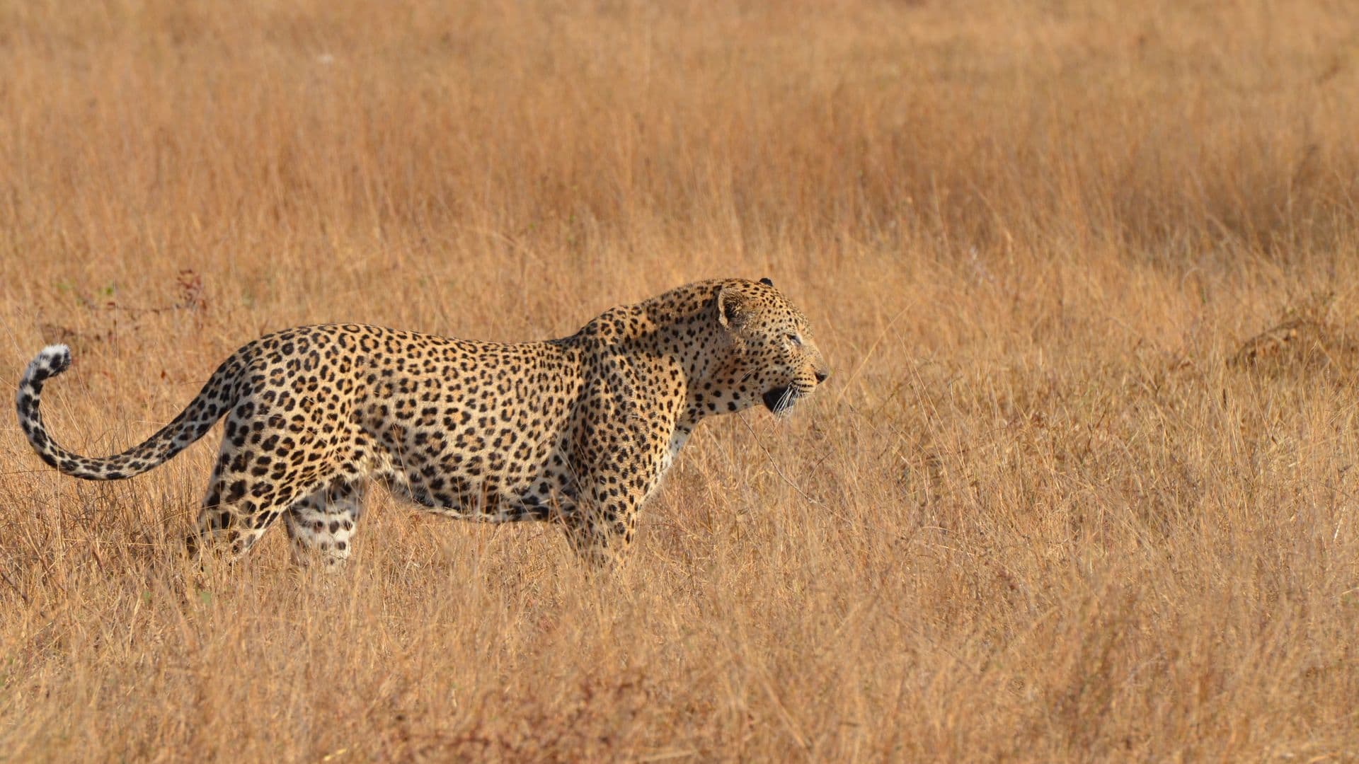 Serengeti National Park