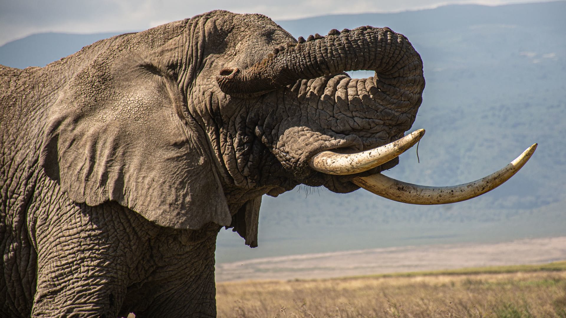 9-Day Northern Circuit Classic Mid-Range Safari