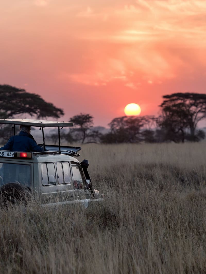 Tanzanian wildlife rangers and safari guides