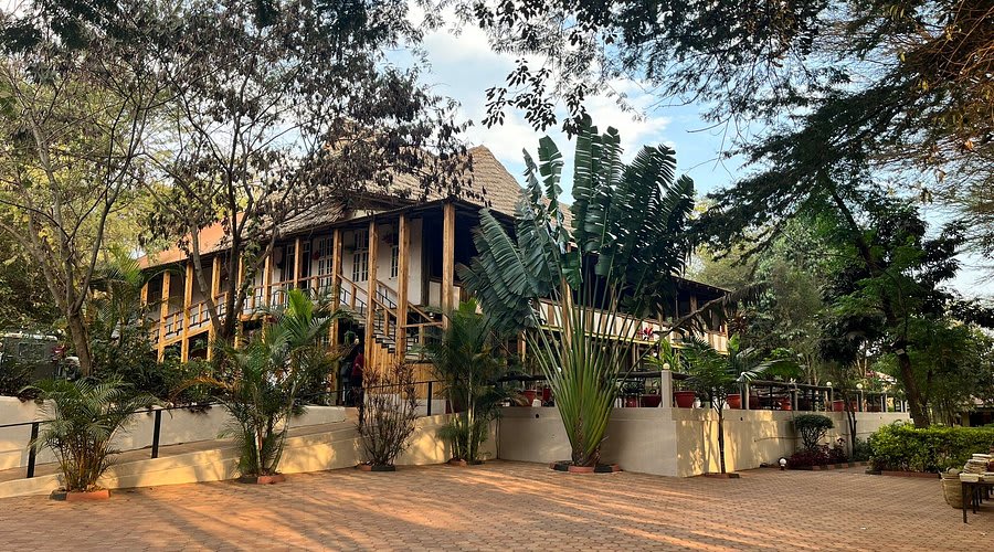 Eileen's Trees Inn