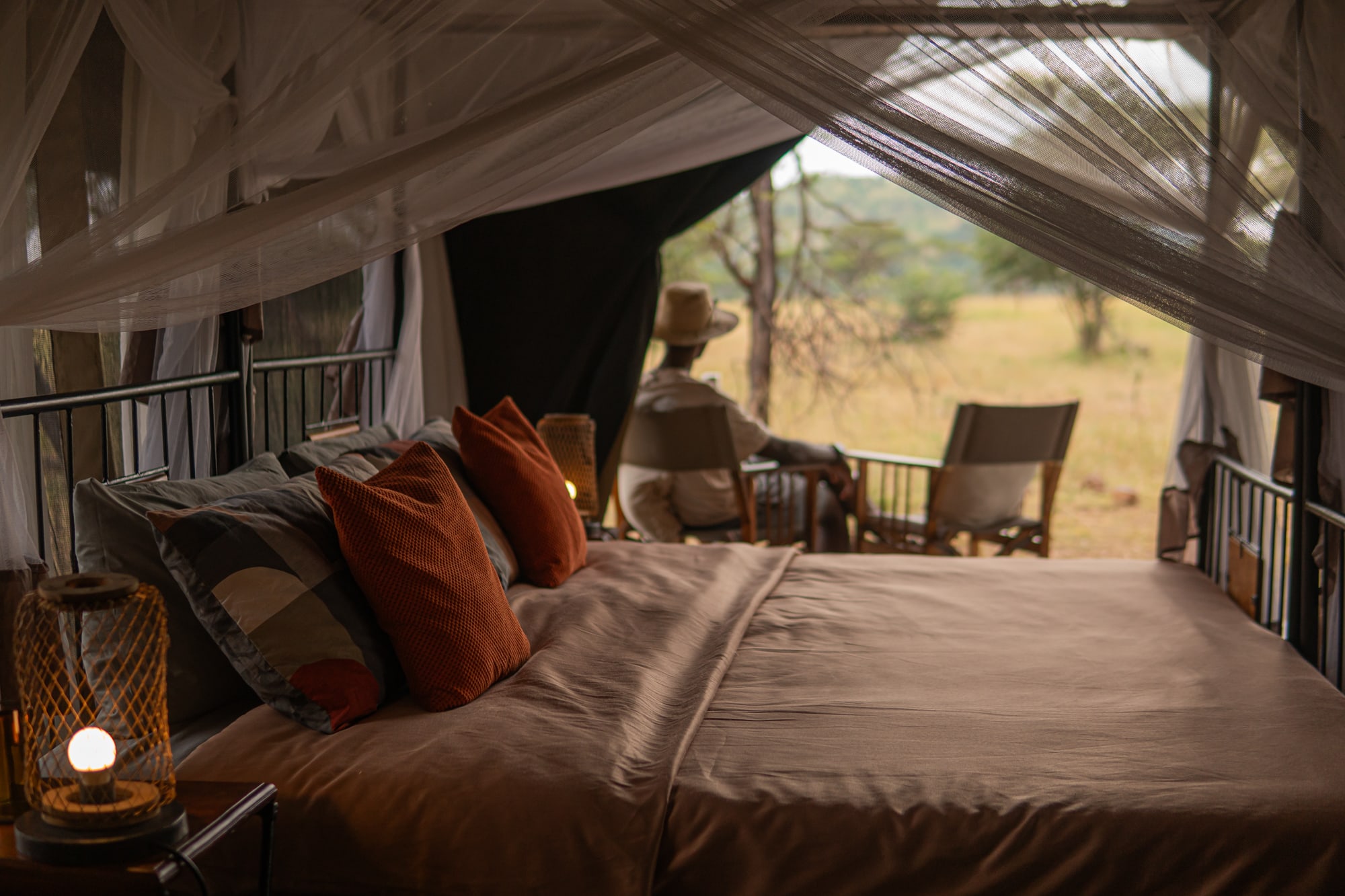 Intimate Camp Zebra - 2