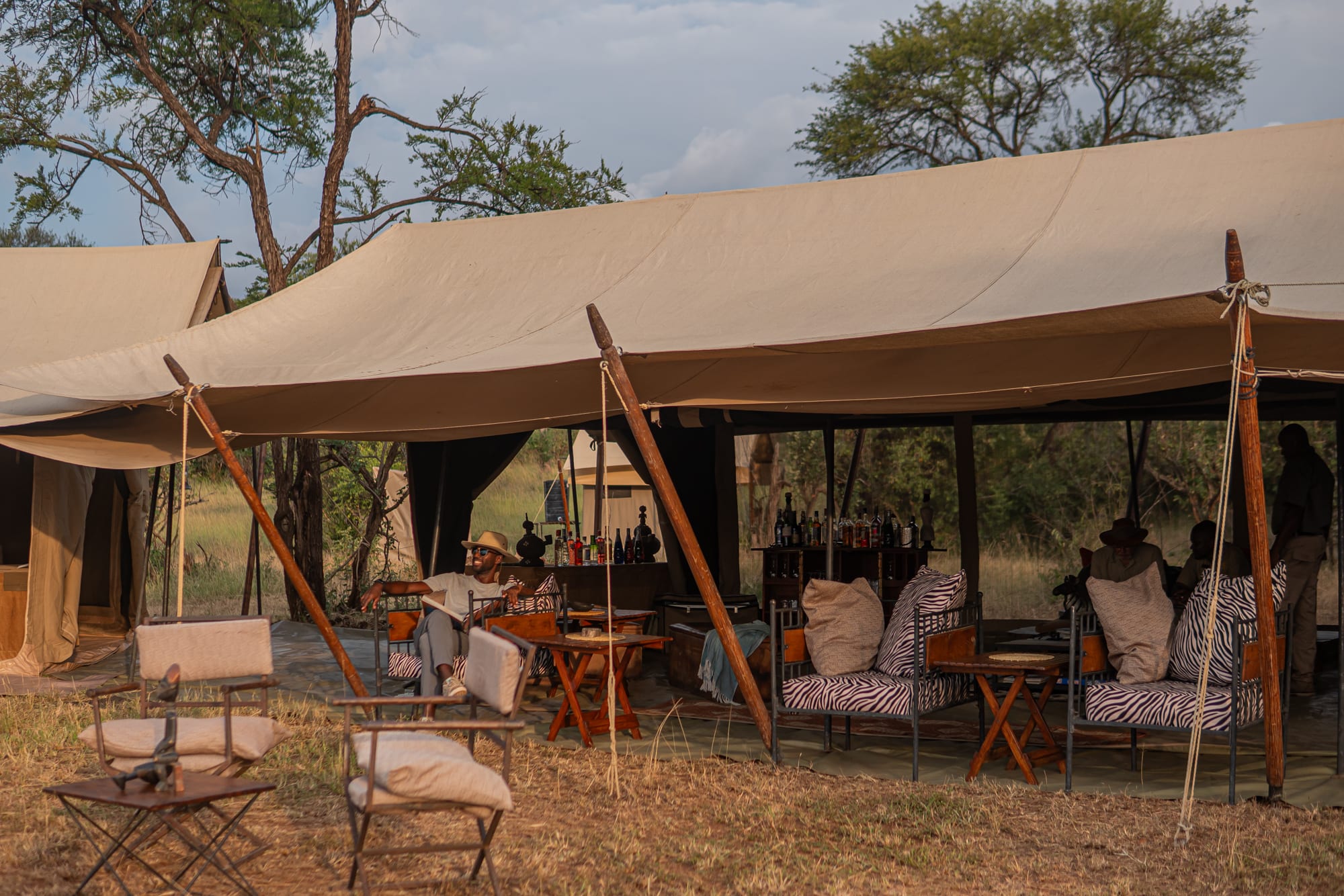 Intimate Camp Zebra