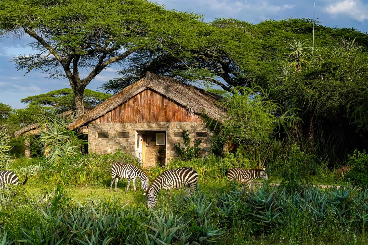 Ndutu Safari Lodge