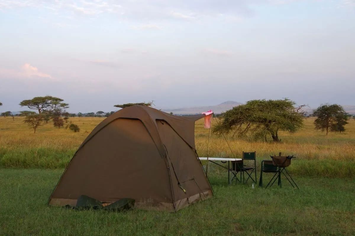 Nyani Campsite