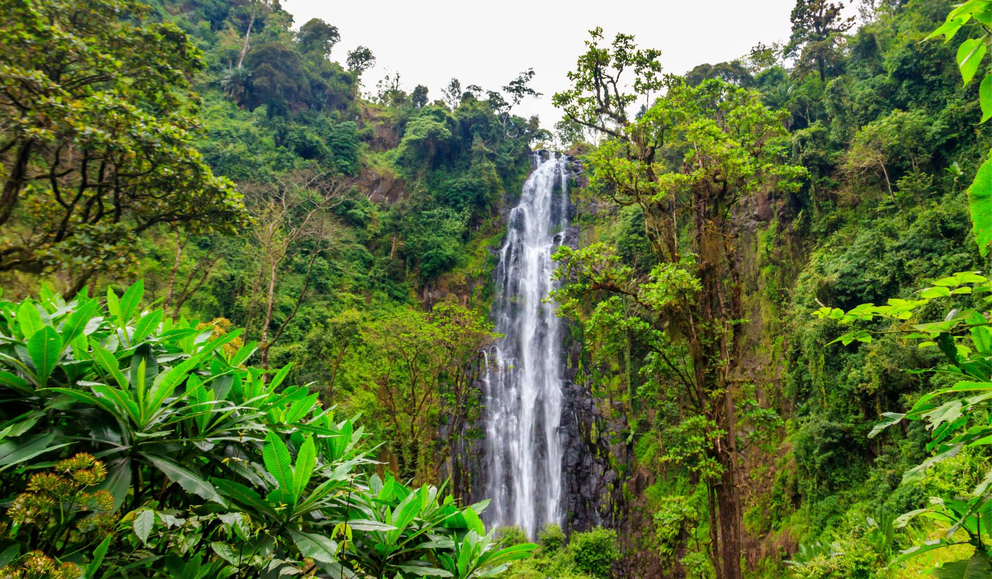 Materuni Waterfall Day Trip