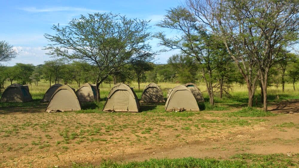 Seronera Campsite - 3