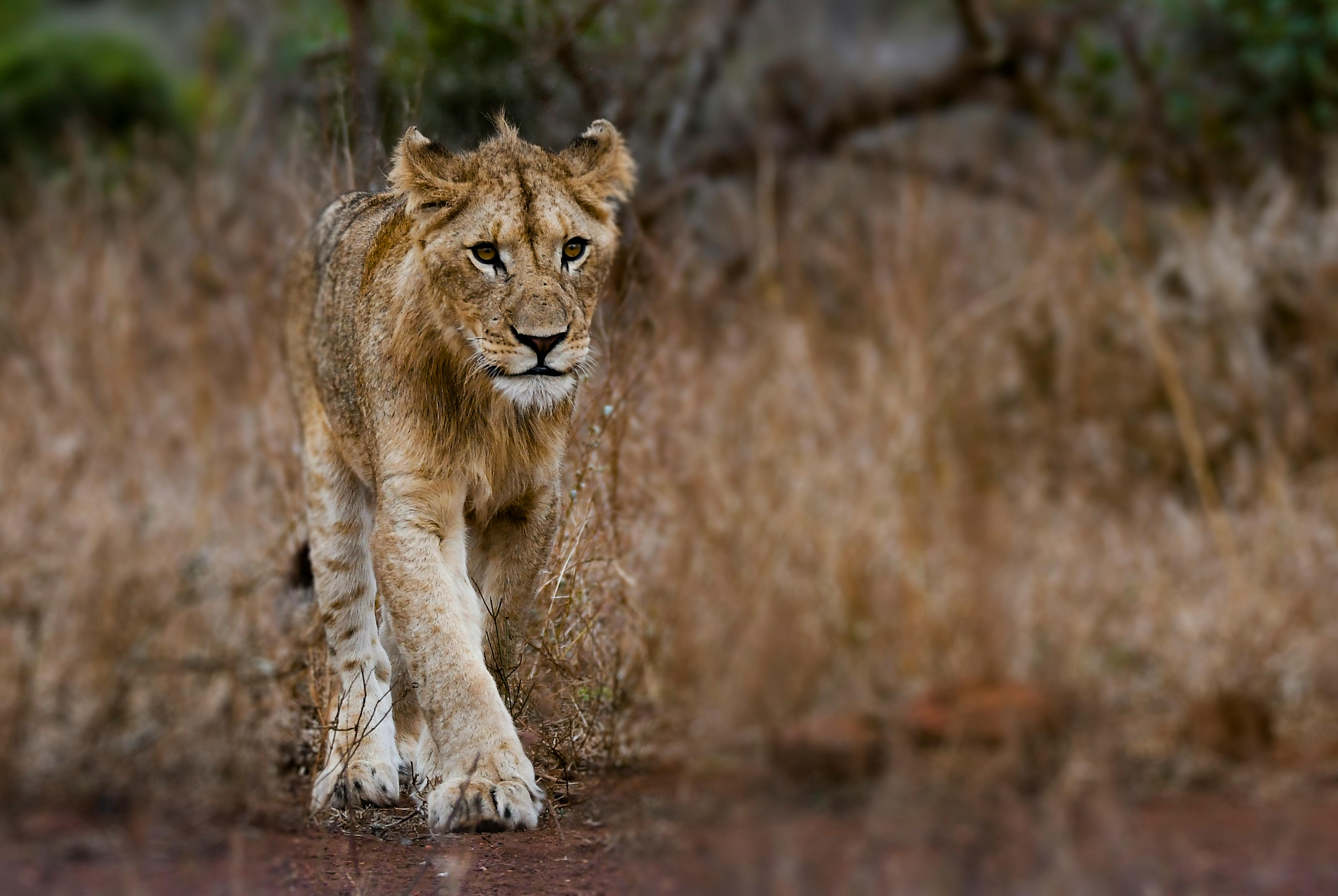 Arusha National Park