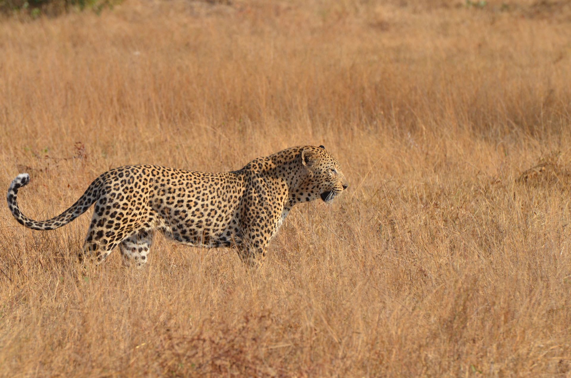 Serengeti National Park