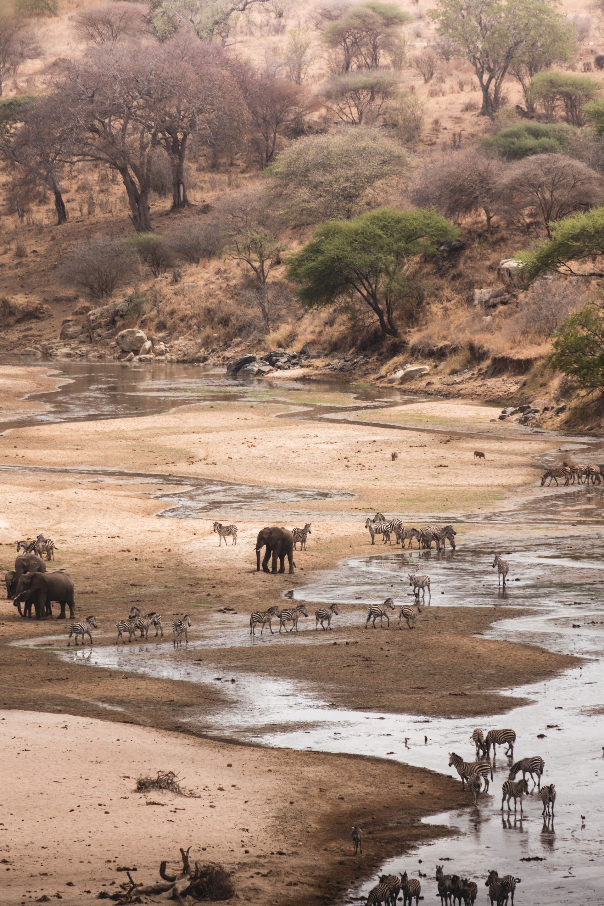 Tarangire National Park