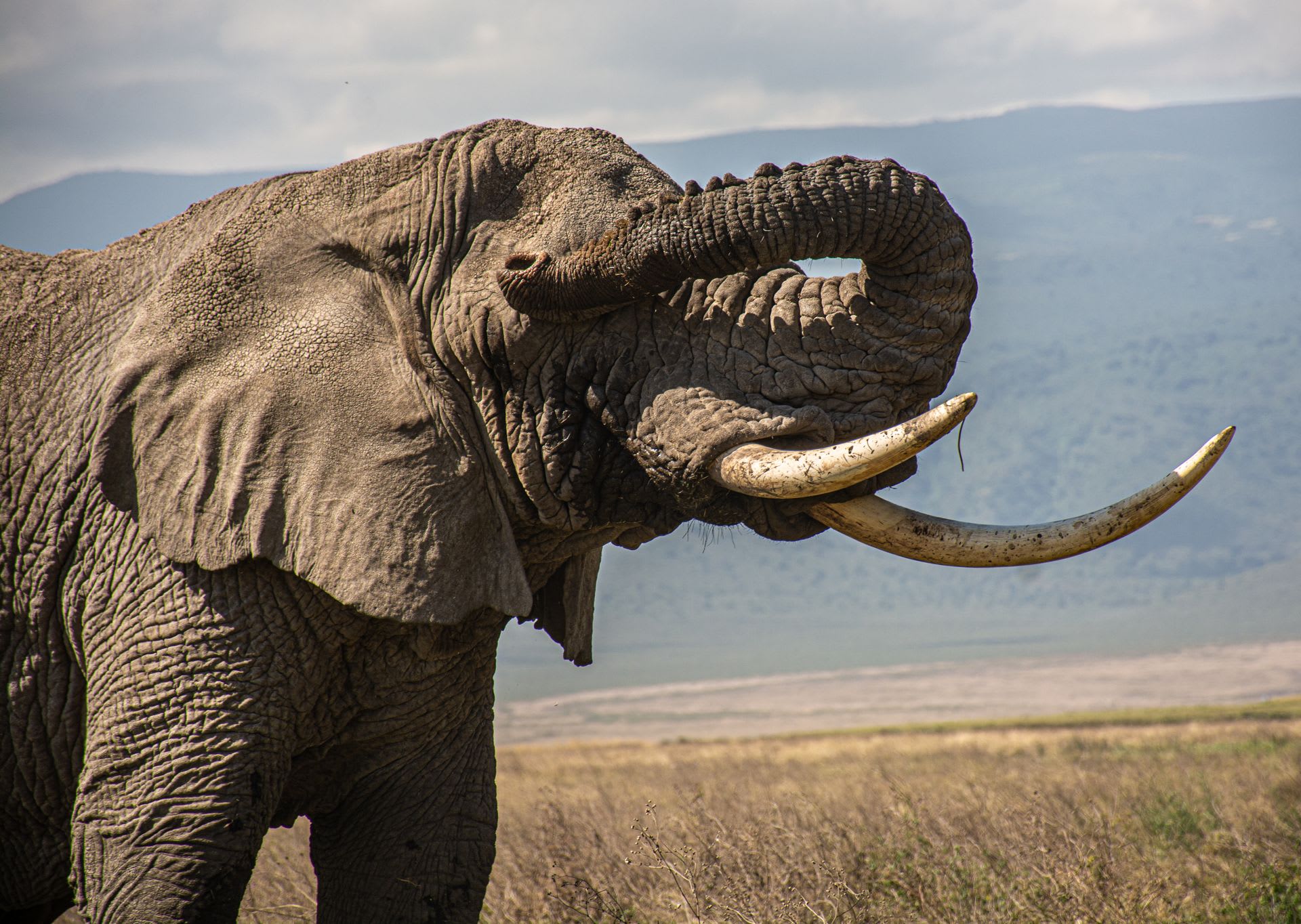 10-Day Tanzania Northern Circuit Classic