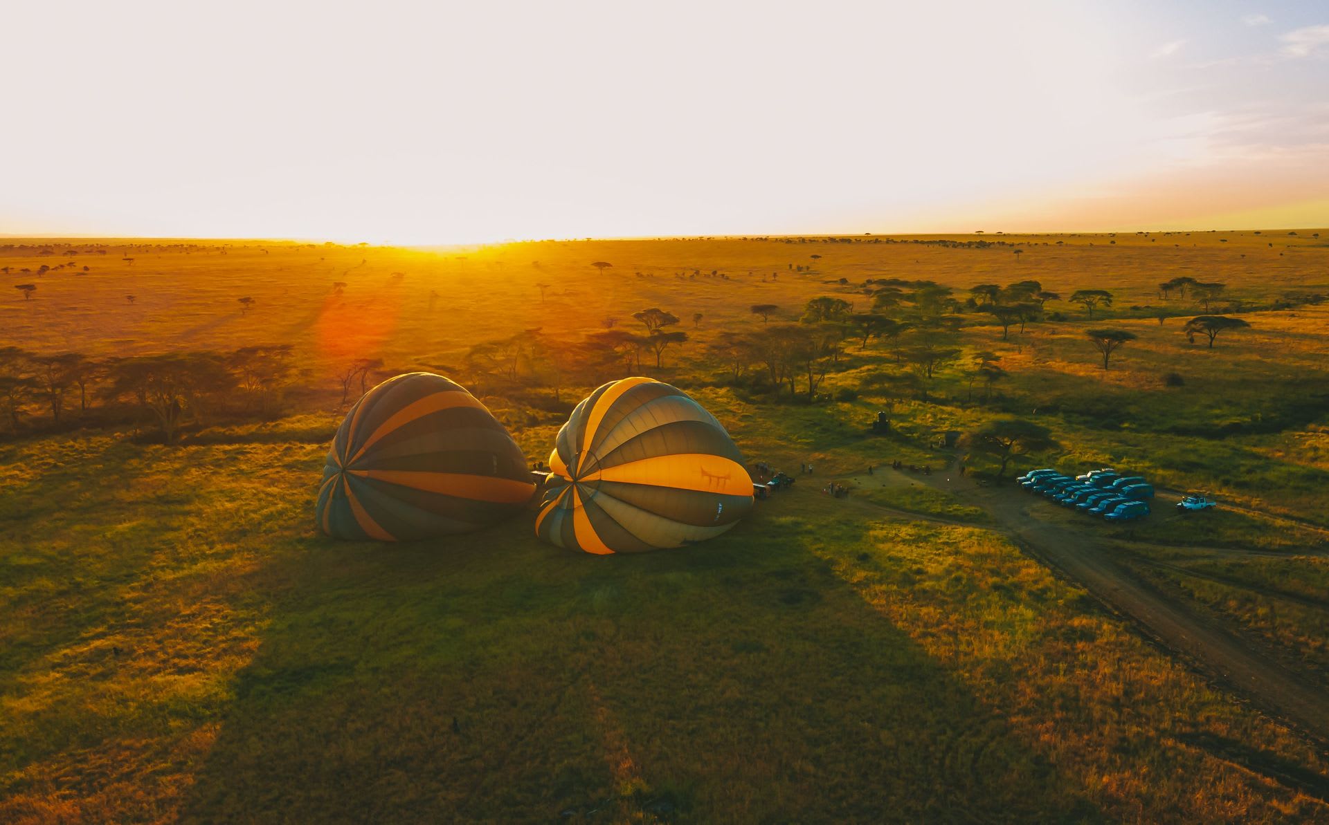 Tanzania safari experiences