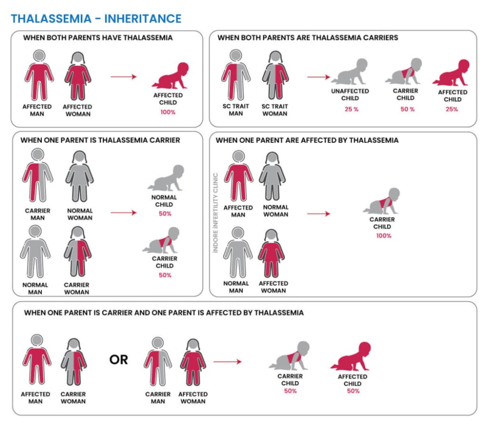 ThalassemiaInheritanceChart