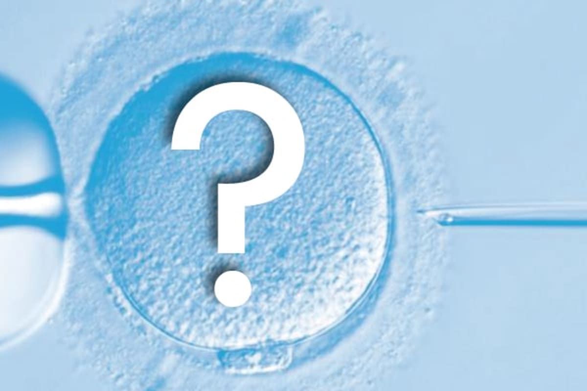 Questions About IVF