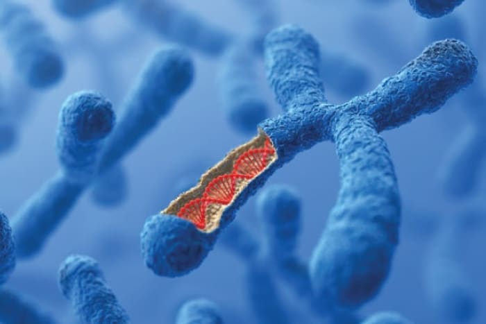 Types of Genetic Abnormalities in Embryos