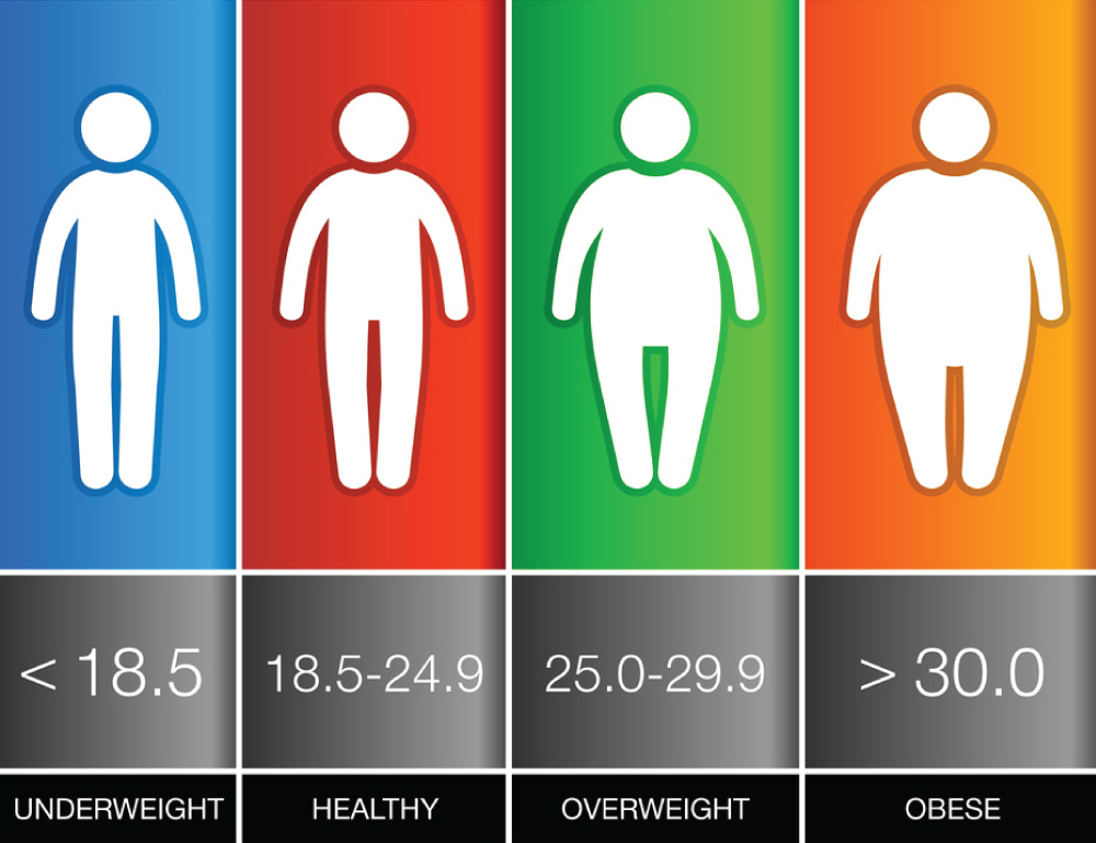 Ideal BMI ? Therefore a BMI range of 18.5 – 24.9 is normal and the ideal weight to have before planning pregnancy.