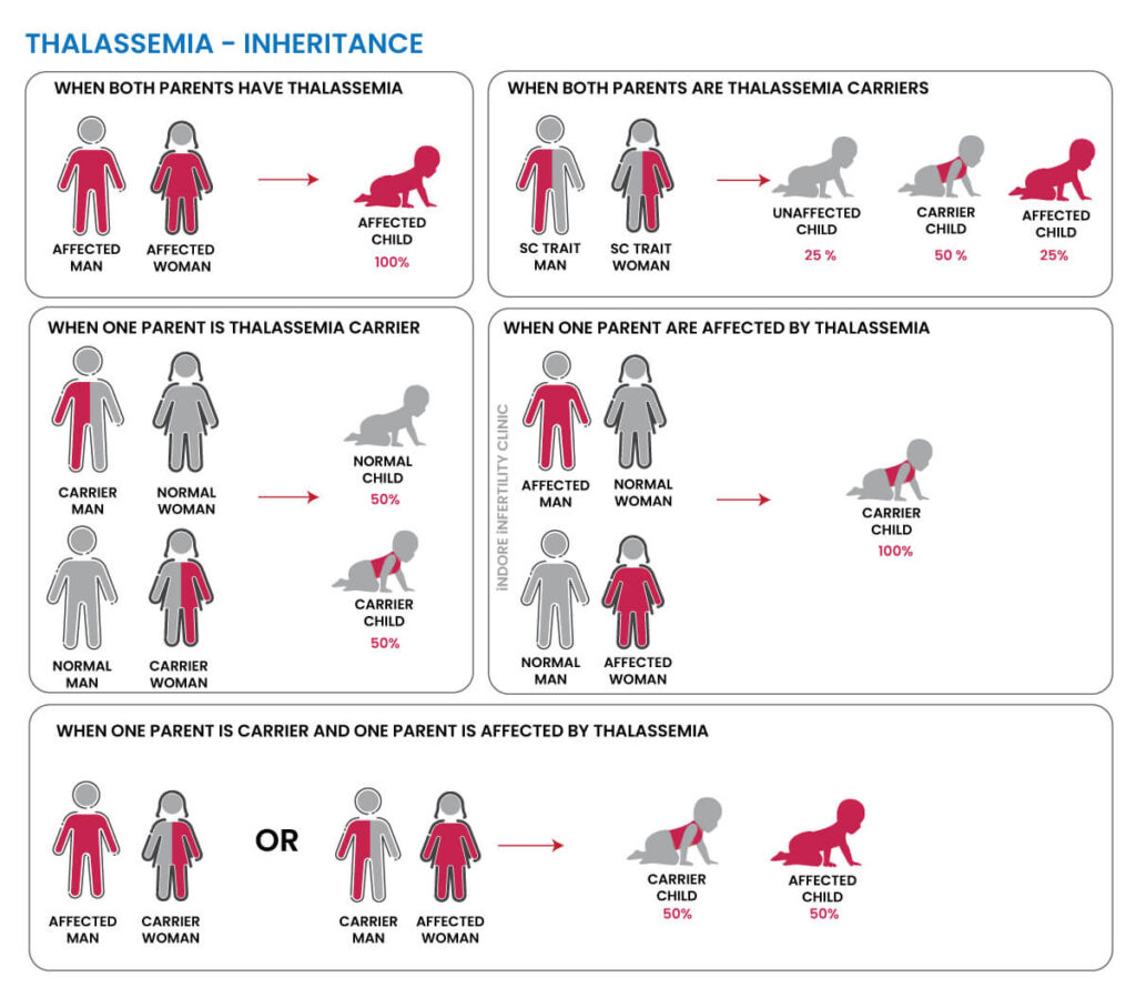 ThalassemiaInheritanceChart