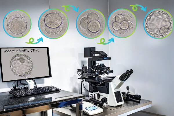 A Patient’s Guide to Embryo Grading
