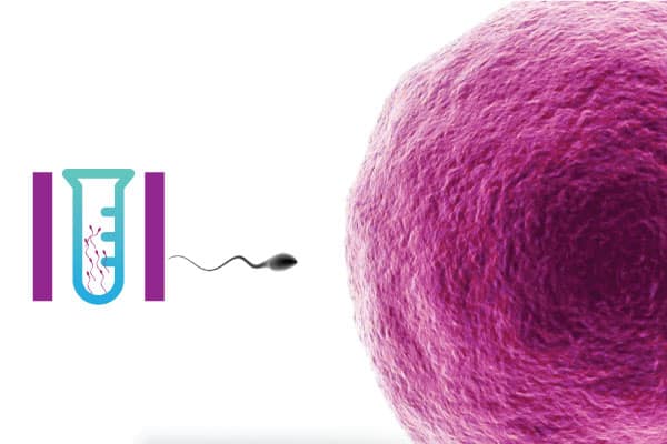 IUI Success Rate