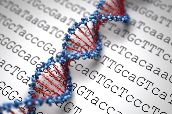 PGT or PGD – Who Should Undergo?