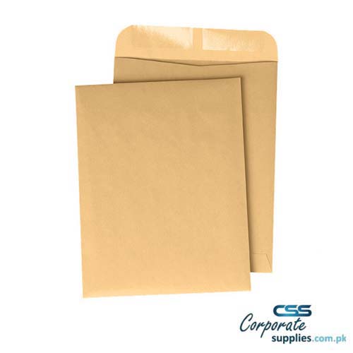 Brown Envelope Size 11x5"