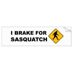 I Brake For Squatch Bumper Sticker | Zazzle