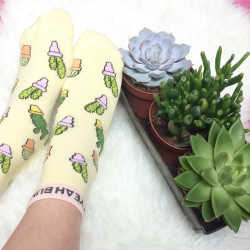 Cactus Socks - Yeah Bunny - Plants are Friends 