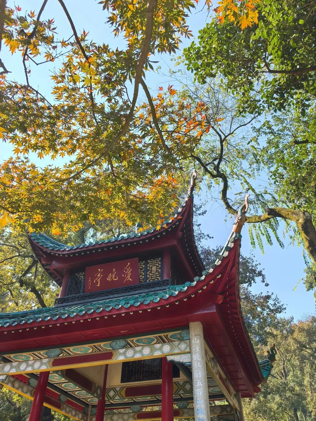 爱晚亭