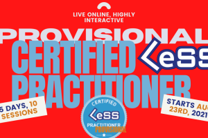 Provisional Certified Large-Scale Scrum (LeSS) Practitioner - Online